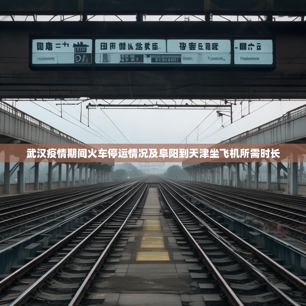 武汉疫情期间火车停运情况及阜阳到天津坐飞机所需时长