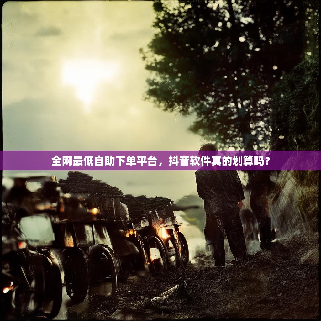 全网最低自助下单平台，抖音软件真的划算吗？