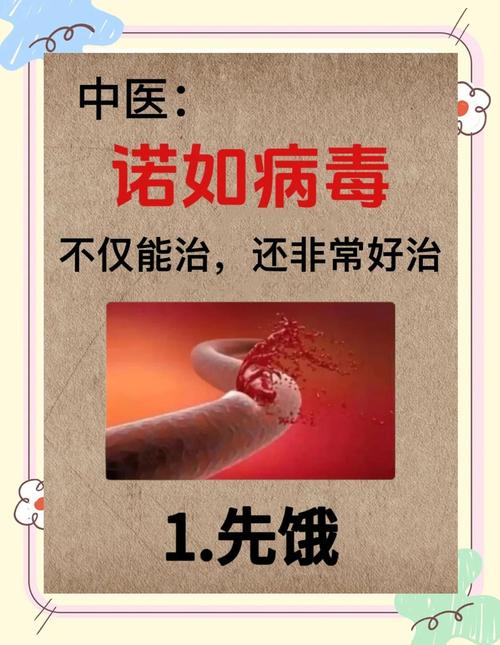 北京朝阳区暴发诺如病毒感染，无特效药，对症治疗是关键