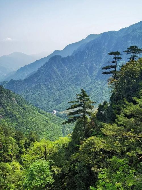 杭州对医护人员免费开放的景点及南宁大明山自驾规定