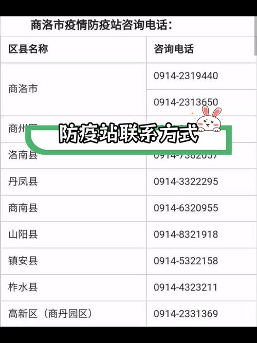 齐齐哈尔市疫情防控中心电话及各区防控咨询电话汇总