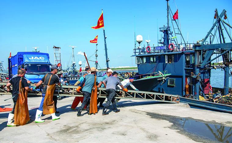 丹东东港市不让渔船出海原因及当地旅游体验相关情况介绍