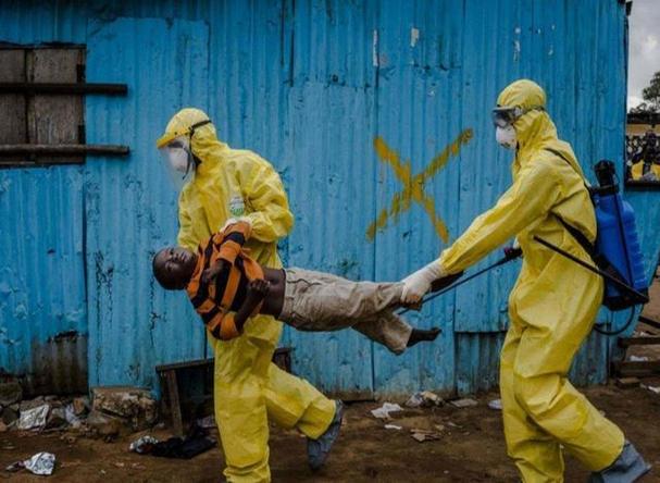 厦航暂停98国中转回国，埃博拉病毒起源于非洲刚果