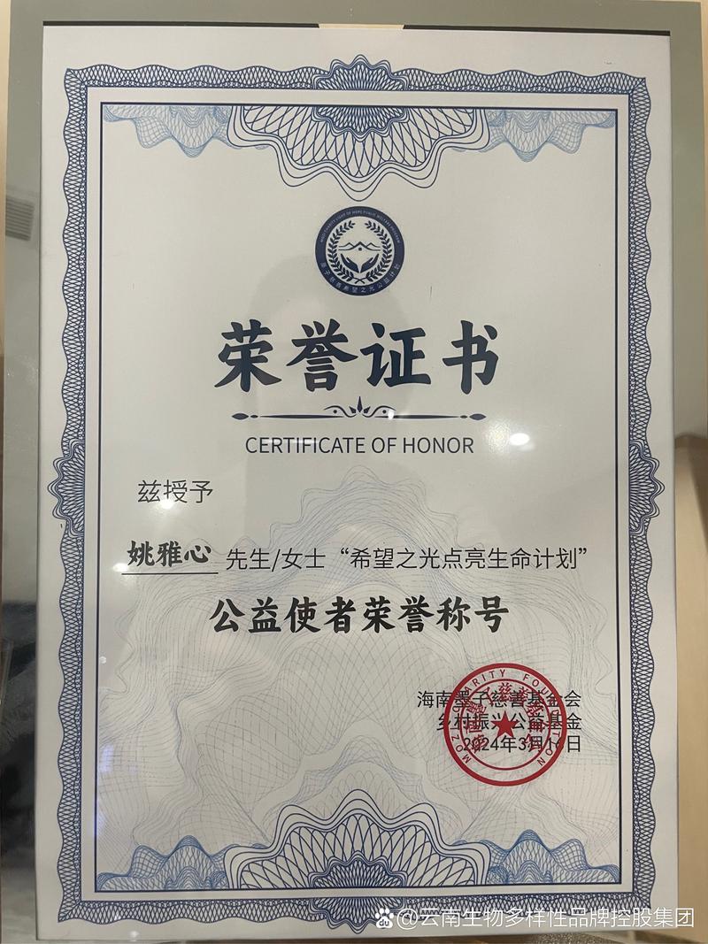 快手移动连麦抗疫报道创新，慈善榜发布及明星获奖情况