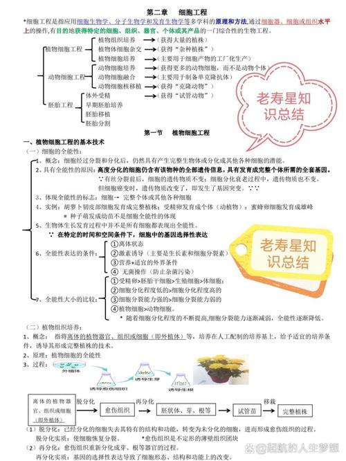 生物工程是什么意思？干什么的？一文详解其定义、范畴和技术基础